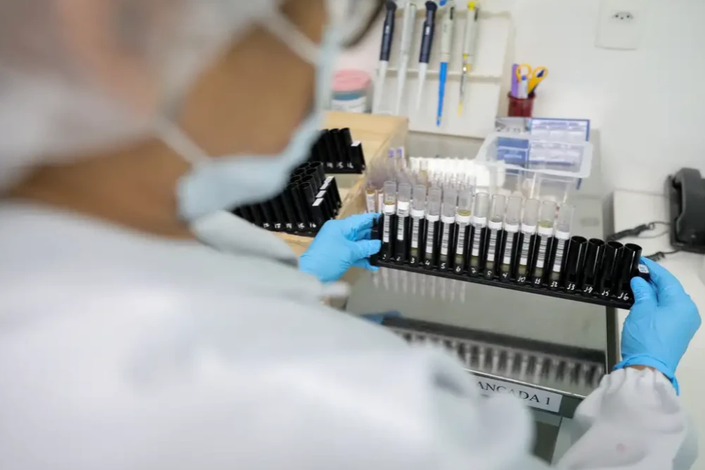 Anvisa autoriza testes em humanos de vacina brasileira contra malária