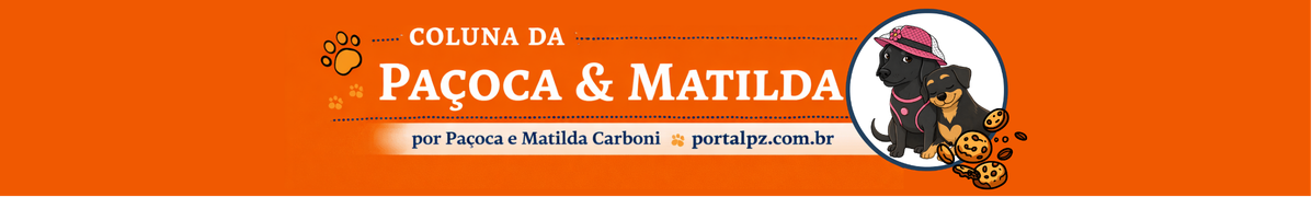 Coluna da Paçoca